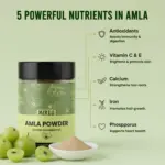 Pure & Natural Amla Powder - Image 3